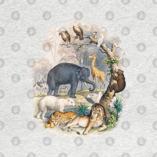 Wild Animals Vintage Illustration Lion Tiger Elephant Vulture Giraffe by Pine Hill Goods